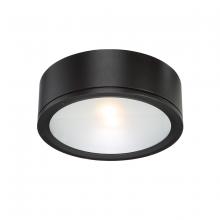 WAC US FM-W2612-BK - TUBE Outdoor Flush Mount Light