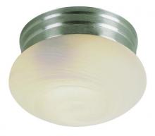 Trans Globe 3620 BN - Dash 10" Flushmount