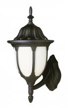 Trans Globe 4041 RT - 1LT WALL-MED-OUTD-OPAL GLASS