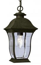 Trans Globe 4975 BK - 2LT HANGING-OUTD-BEVELED CLEAR