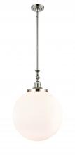 Innovations Lighting 206-PN-G201-16 - Beacon - 1 Light - 16 inch - Polished Nickel - Stem Hung - Mini Pendant