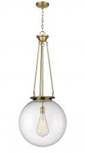 Innovations Lighting 221-1P-BB-G204-18 - Beacon - 1 Light - 18 inch - Brushed Brass - Chain Hung - Pendant