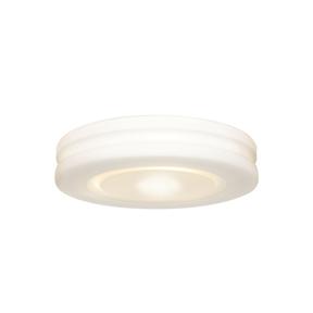 LED Flush Mount