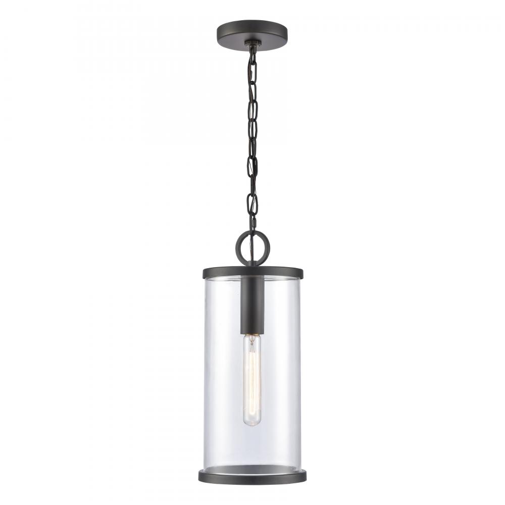 Hopkins 7.25'' Wide 1-Light Outdoor Hanging Light - Charcoal Black